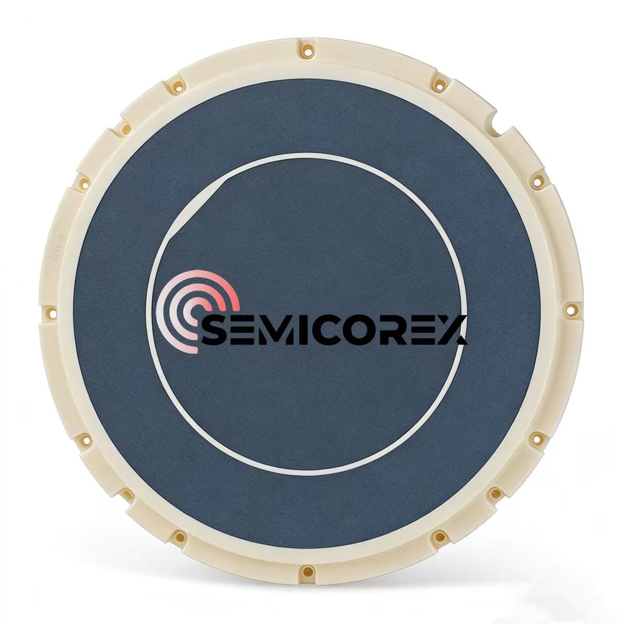 అల్యూమినా సిరామిక్ వాక్యూమ్ చక్స్