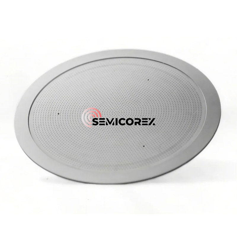 CVD SiC షవర్ హెడ్స్